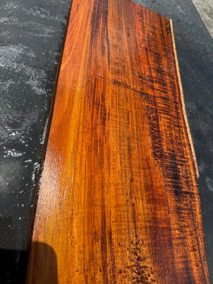 Hawaiian Curly Koa Board / Guitar Billet #14760