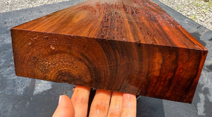 Hawaiian Curly Koa Board / Guitar Billet #14760