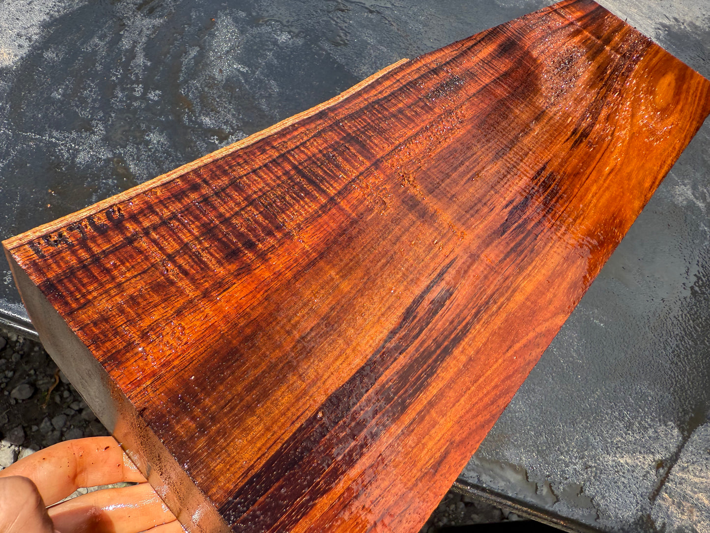 Hawaiian Curly Koa Board / Guitar Billet #14760