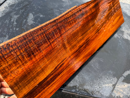 Hawaiian Curly Koa Board / Guitar Billet #14760