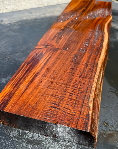 Hawaiian Curly Koa Board / Guitar Billet #14760
