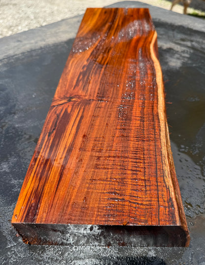 Hawaiian Curly Koa Board / Guitar Billet #14760