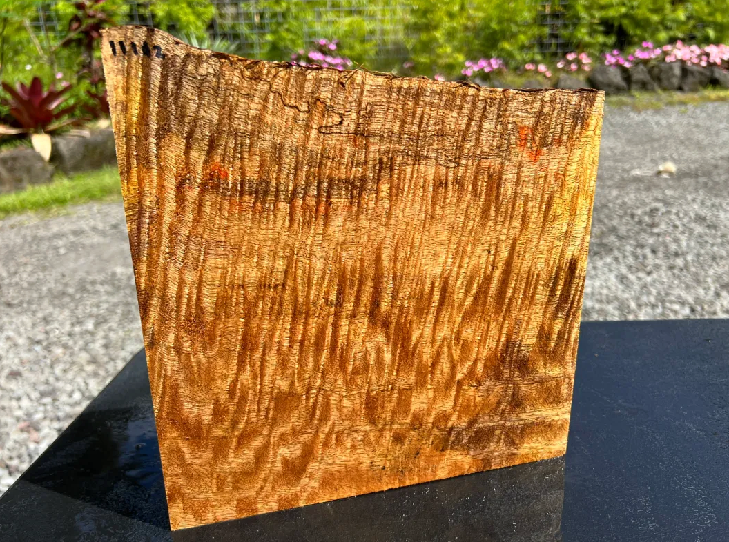 Hawaiian Curly Mango Board #11112