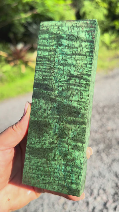 Hawaiian Stabilized Curly Mango Block #M350