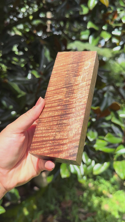 Hawaiian Stabilized Curly Mango Block #M481