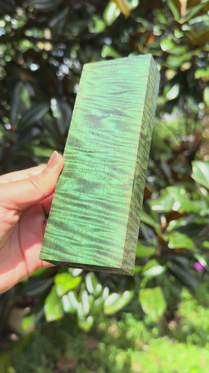 Hawaiian Stabilized Spalted Curly Mango Block #MC353