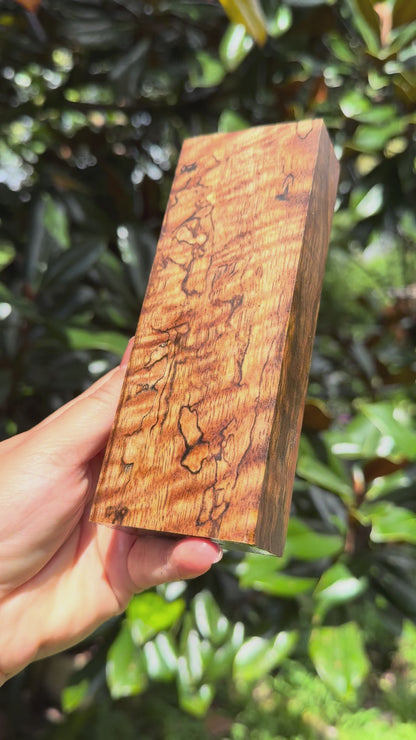 Hawaiian Stabilized Spalted Curly Mango Block #M416